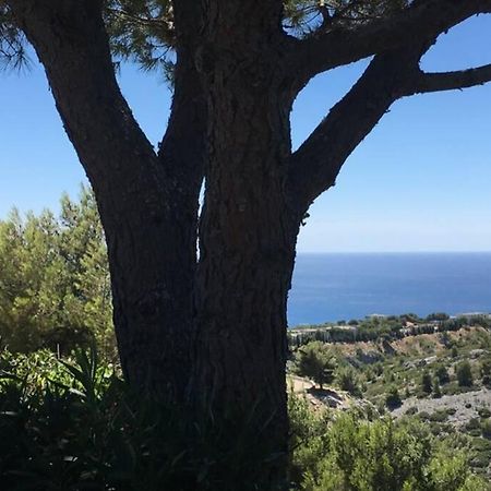 Magnifique Studio Cassis Extérieur photo