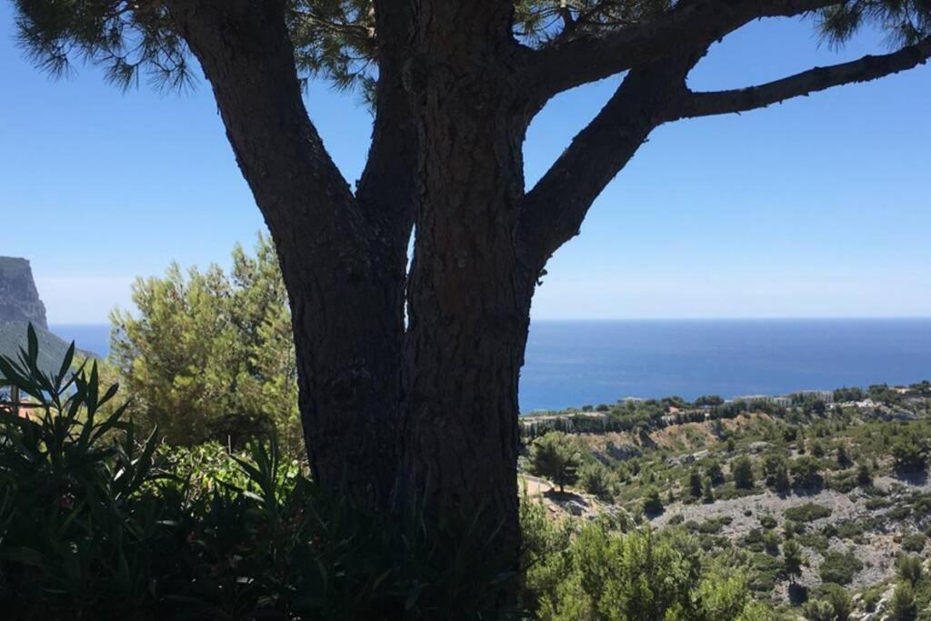 Magnifique Studio Cassis Extérieur photo
